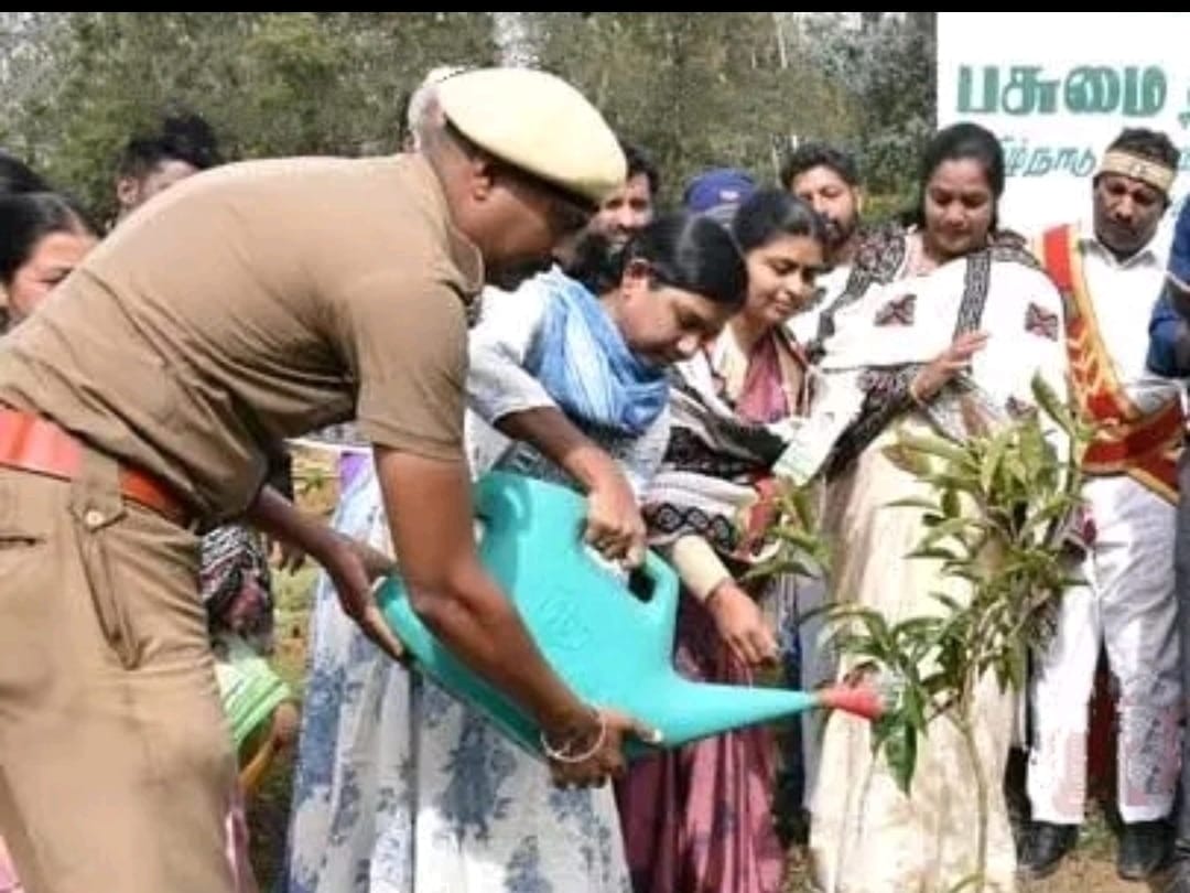 நீலகிரி மாவட்டத்தில் கோத்தகிரி அருகே வனத்துறை சார்பில் சோலை மரக்கன்றுகள் நடும் நிகழ்ச்சி நடைபெற்றது